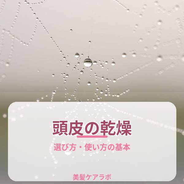 頭皮の乾燥