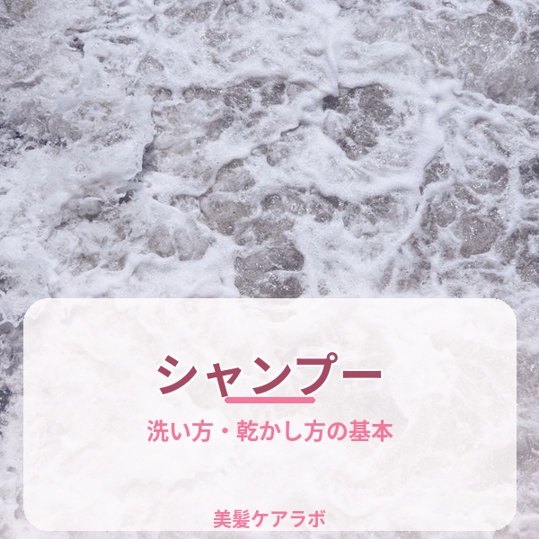 シャンプーの基本